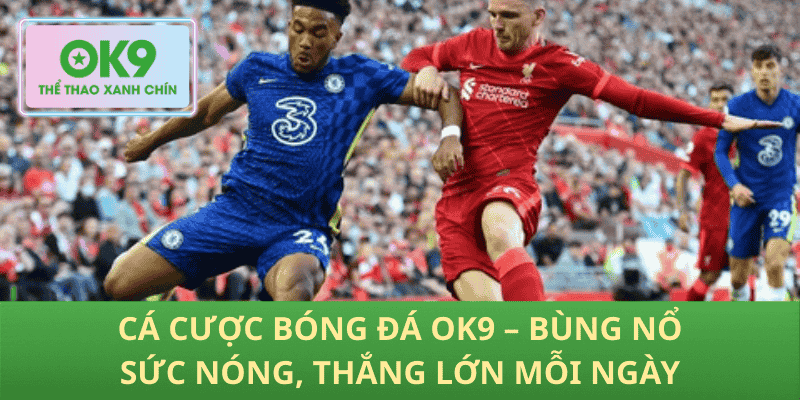 Cá Cược Bóng Đá OK9 – Bùng Nổ Sức Nóng, Thắng Lớn Mỗi Ngày