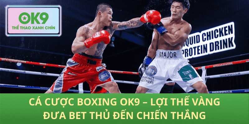 Cá Cược Boxing OK9 – Lợi Thế Vàng Đưa Bet Thủ Đến Chiến Thắng