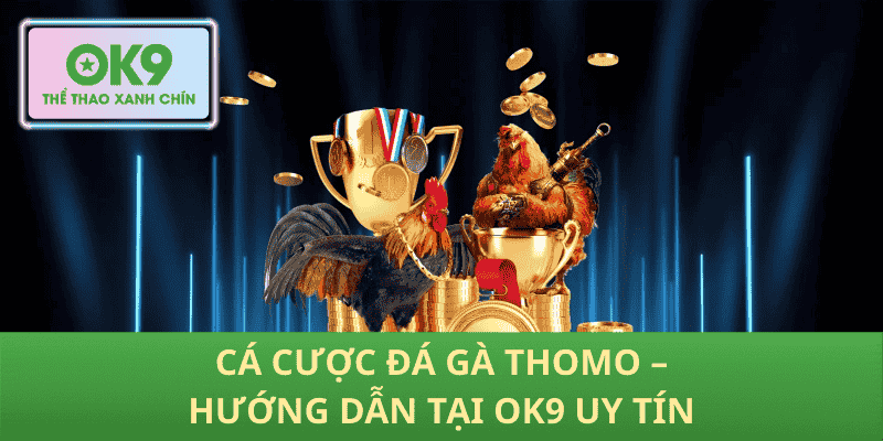 Cá Cược Đá Gà Thomo – Hướng Dẫn Tại OK9 Uy Tín