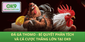 Cá Cược Đá Gà Thomo – Phân Tích Chuẩn, Thắng Lớn Tại OK9
