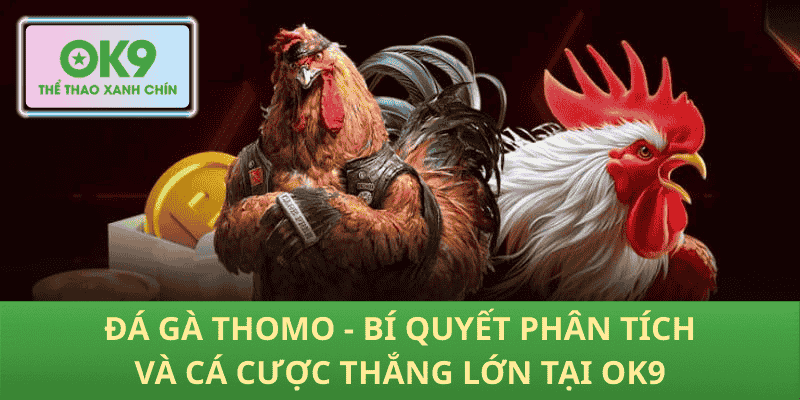 Cá Cược Đá Gà Thomo – Phân Tích Chuẩn, Thắng Lớn Tại OK9