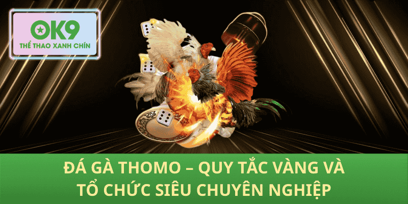 Đá Gà Thomo – Quy Tắc Vàng Và Tổ Chức Siêu Chuyên Nghiệp