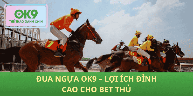 Đua Ngựa OK9 – Lợi Ích Đỉnh Cao Cho Bet Thủ