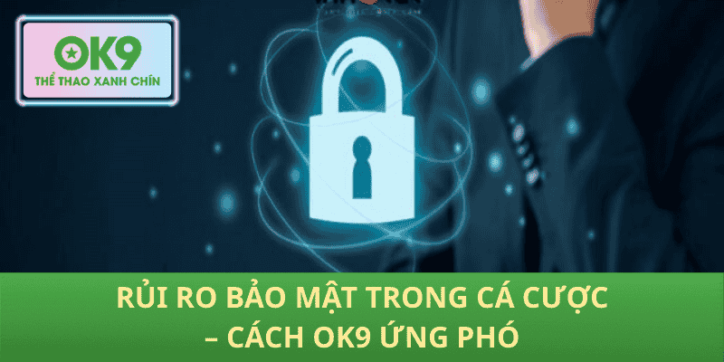 Rủi Ro Bảo Mật Trong Cá Cược – Cách OK9 Ứng Phó